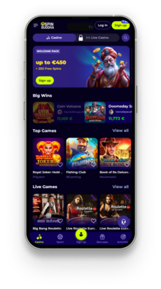 Spin Buddha Application